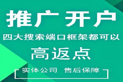 SEM主管实战：数据分析与策略调整